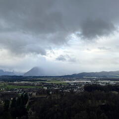 23-12-20 12-44-44 8247